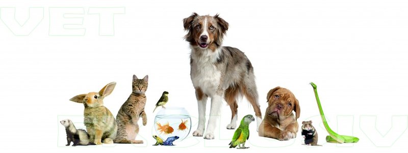 Vet Exclusiv - Cabinet Veterinar